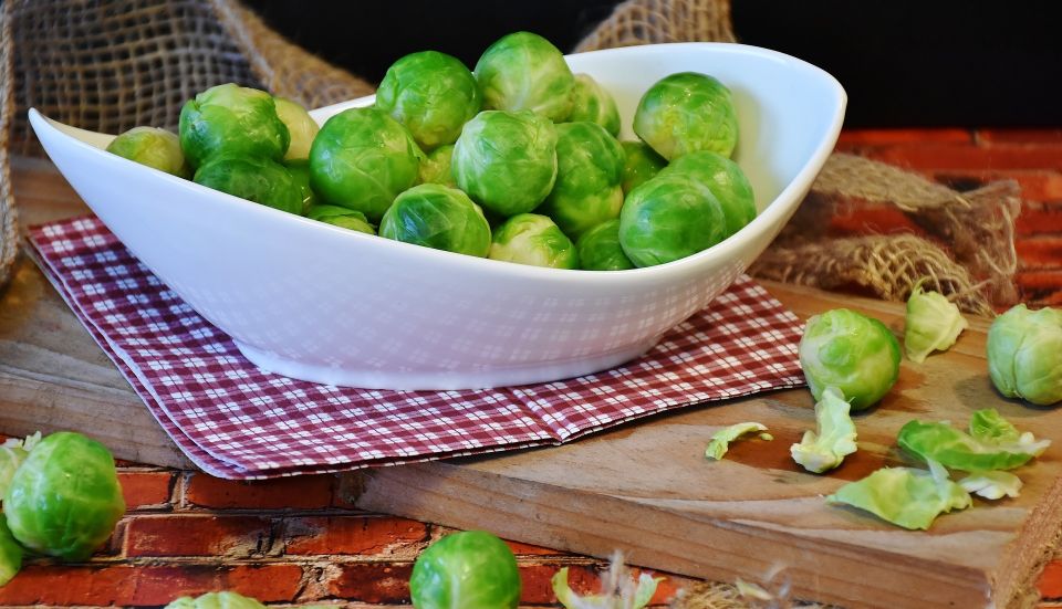 Brussels Sprouts 1856706 1920