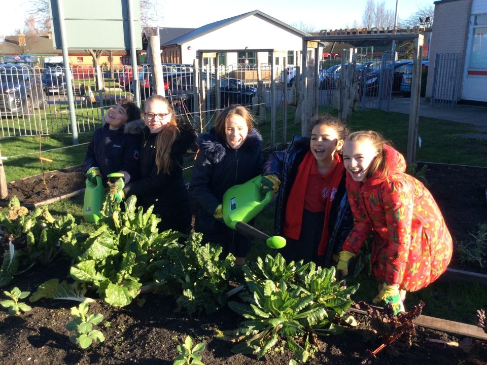 Blessed Sacrament Primary School