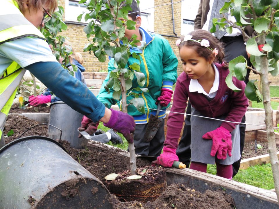 Hitherfield Primary school