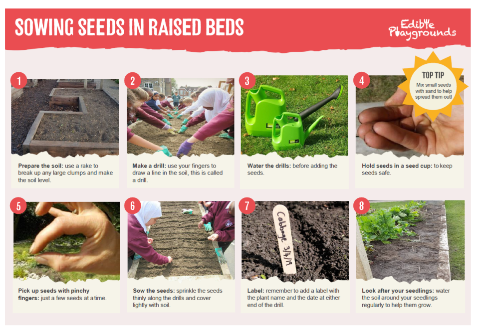 Sowing Seeds Raised