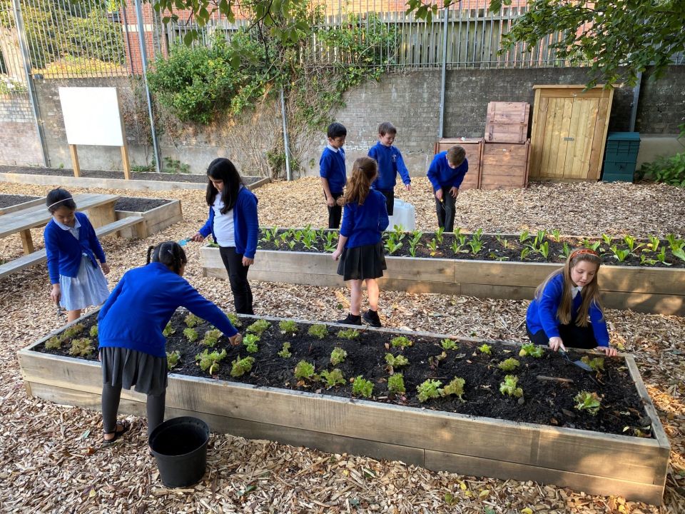 school children outside in their new green playground, planting in raised beds