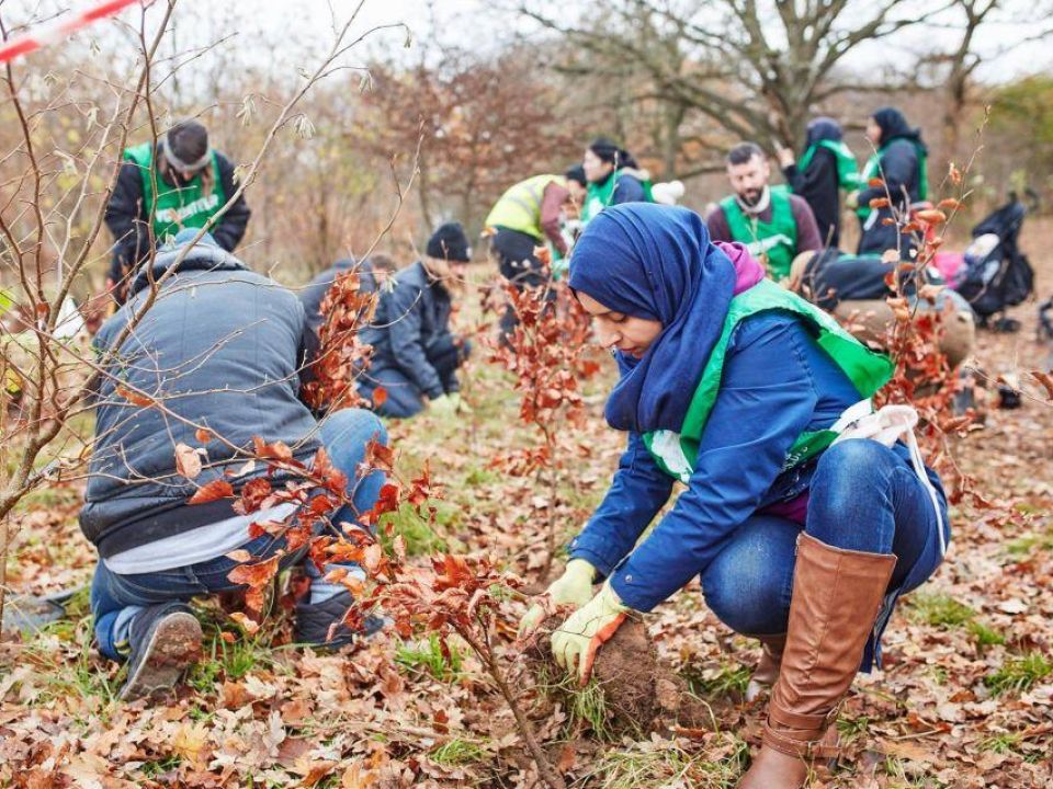Bradford: Planting day at Newhall Park