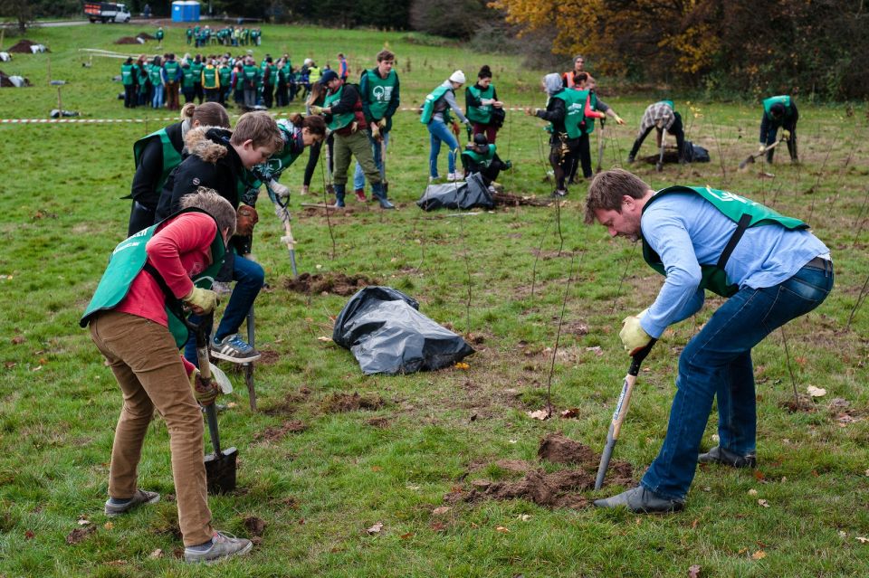 10 Beckenham Place Park planting day 2 Dec 2018 Photo by Luca Radek X3