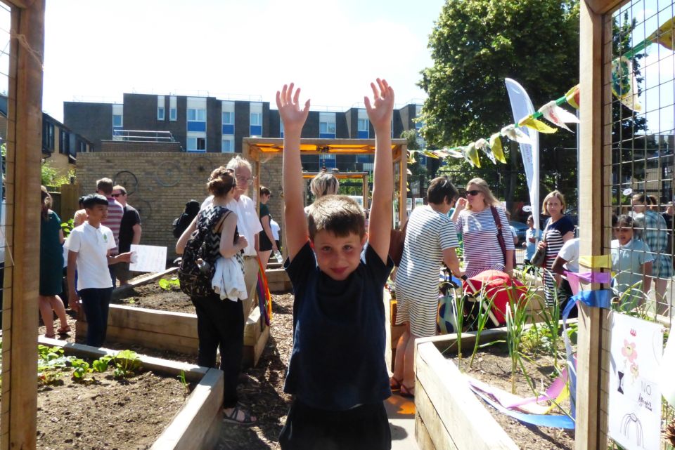 100 Edible Playgrounds over 10 years what have we learned? Trees