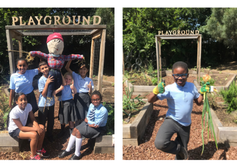 100 Edible Playgrounds over 10 years what have we learned? Trees