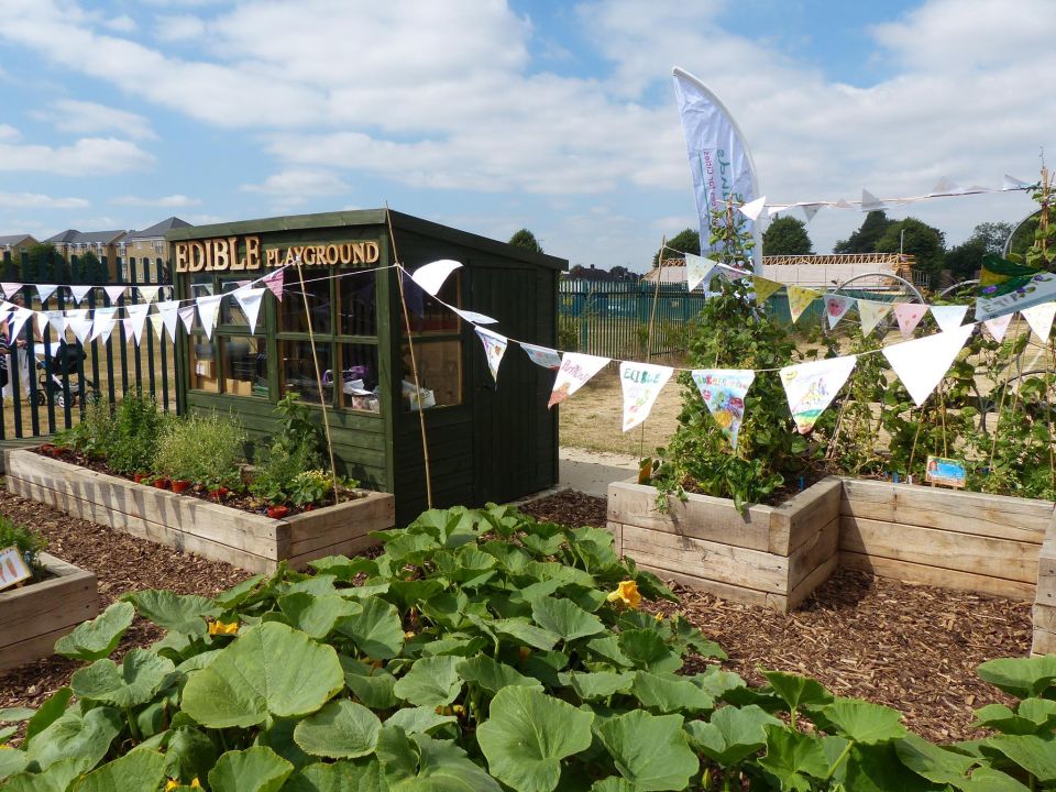100 Edible Playgrounds over 10 years what have we learned? Trees