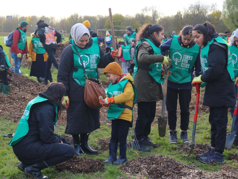 New Trees at Sidley Recreation Ground in Bexhill