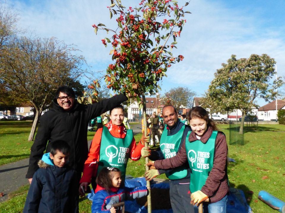 Jolly's Green planting day