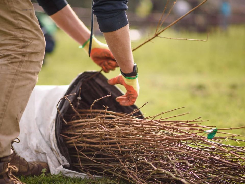 Cardiff: Planting Day at Tremorfa Park
