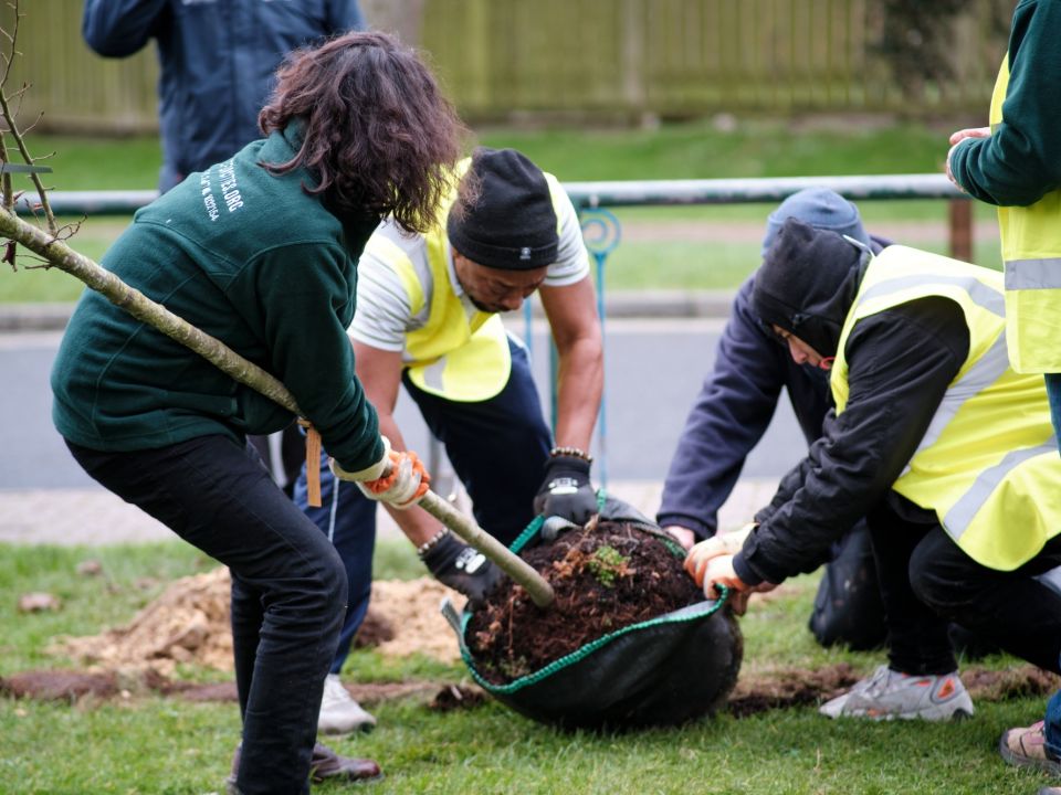 Edinburgh: Planting Day at Stenhouse Greenspace