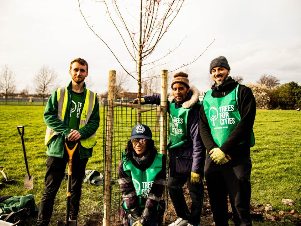 Volunteers planting a tree