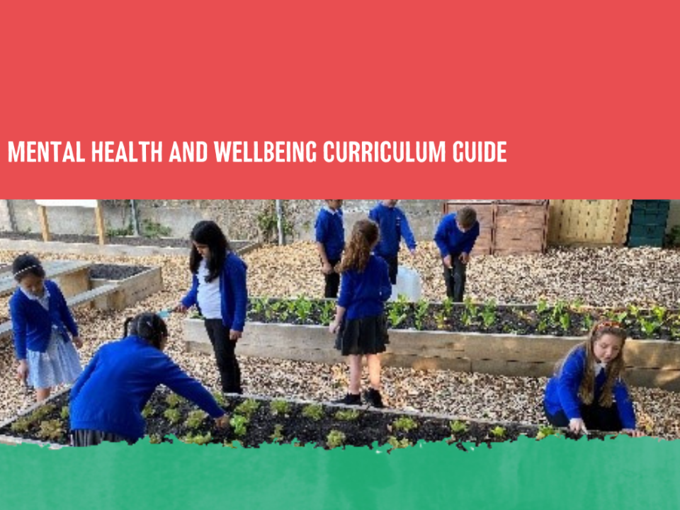 Health and Wellbeing Curriculum