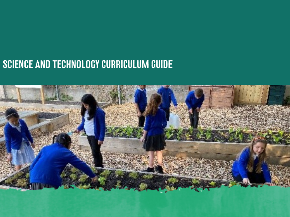 Science and Technology Curriculum Guide
