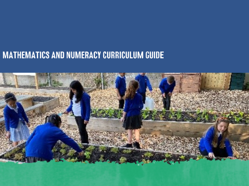 Mathematics and Numeracy Curriculum Guide