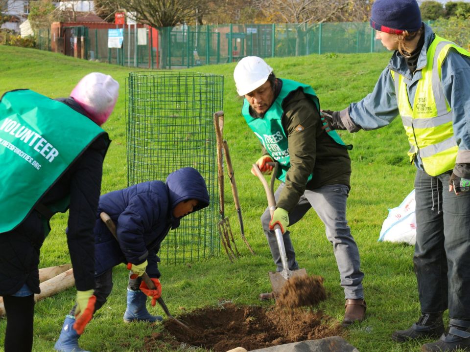 New Trees in Blantyre