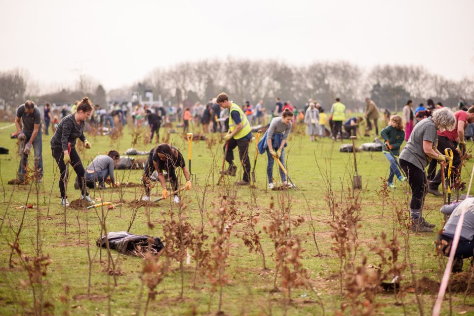 Planting Whips Group