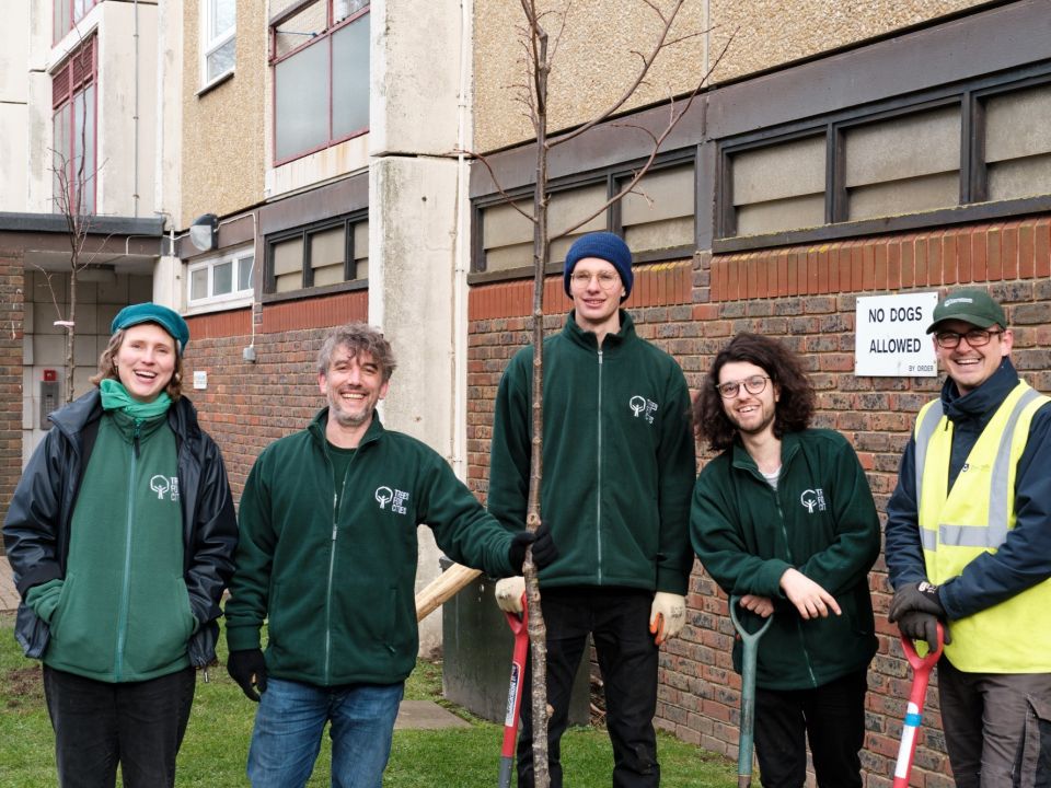 New trees at Goodmayes Park!
